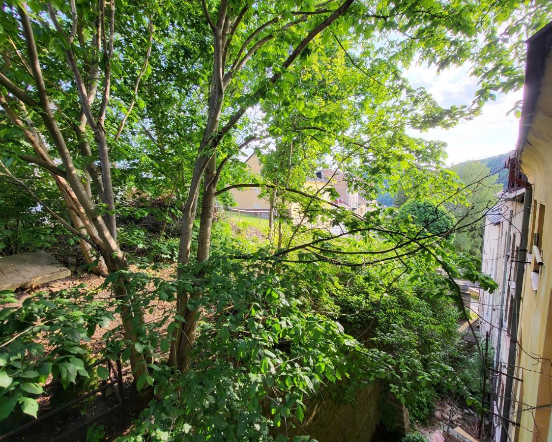 Excellent Apartments In Spa City Center 5 Min Walk From The Colonnade Karlovy Vary Kültér fotó