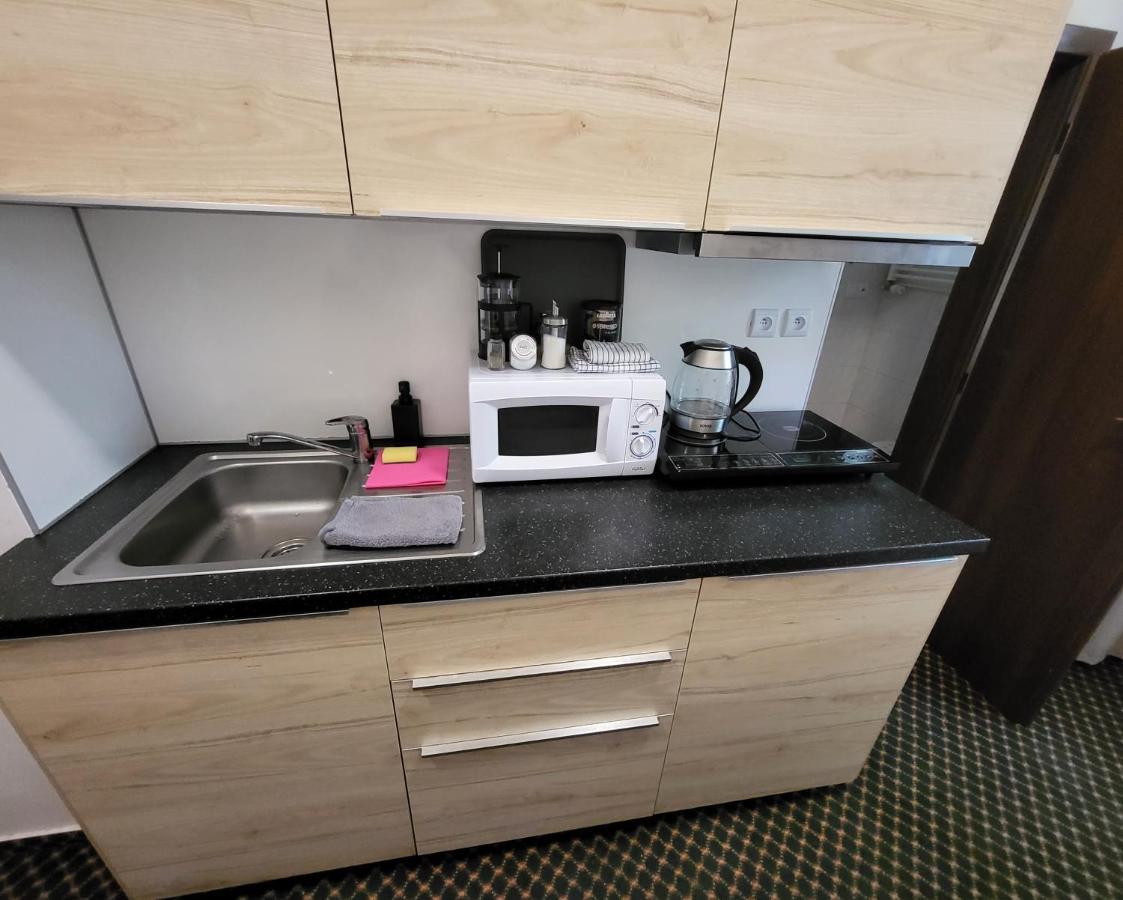 Excellent Apartments In Spa City Center 5 Min Walk From The Colonnade Karlovy Vary Kültér fotó
