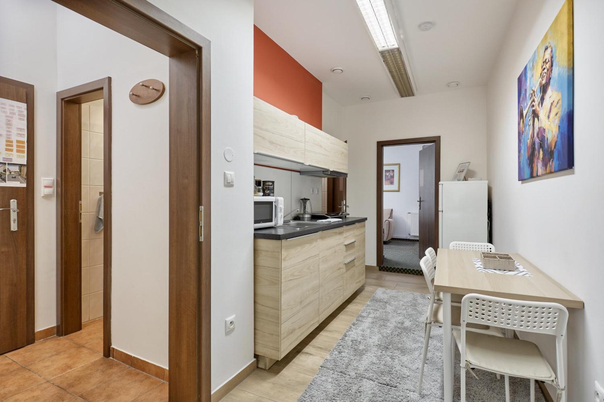 Excellent Apartments In Spa City Center 5 Min Walk From The Colonnade Karlovy Vary Kültér fotó